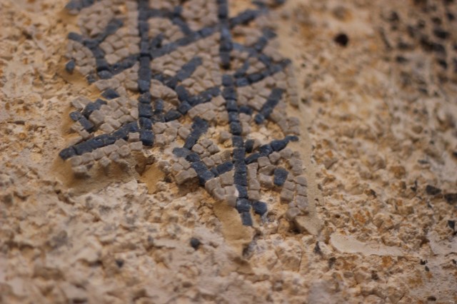 This is at 50 mm, so not super zoomed in. It's just how close you can get. Incredible!