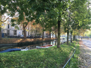 Screen Shot 2015-11-19 at 14.22.30