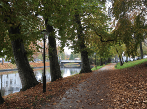 Screen Shot 2015-11-19 at 14.22.55