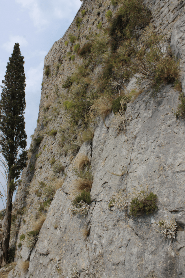 Screen Shot 2015-12-16 at 22.26.31